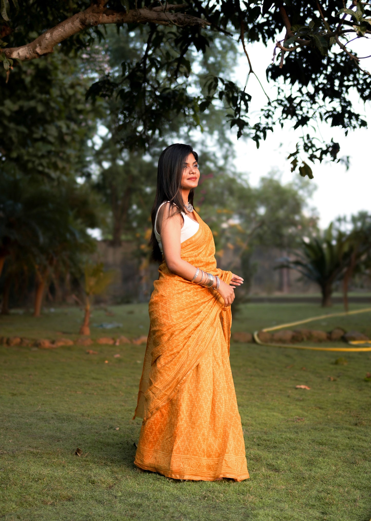 Haldi Bagru Handblock Printed Chanderi Silk Saree