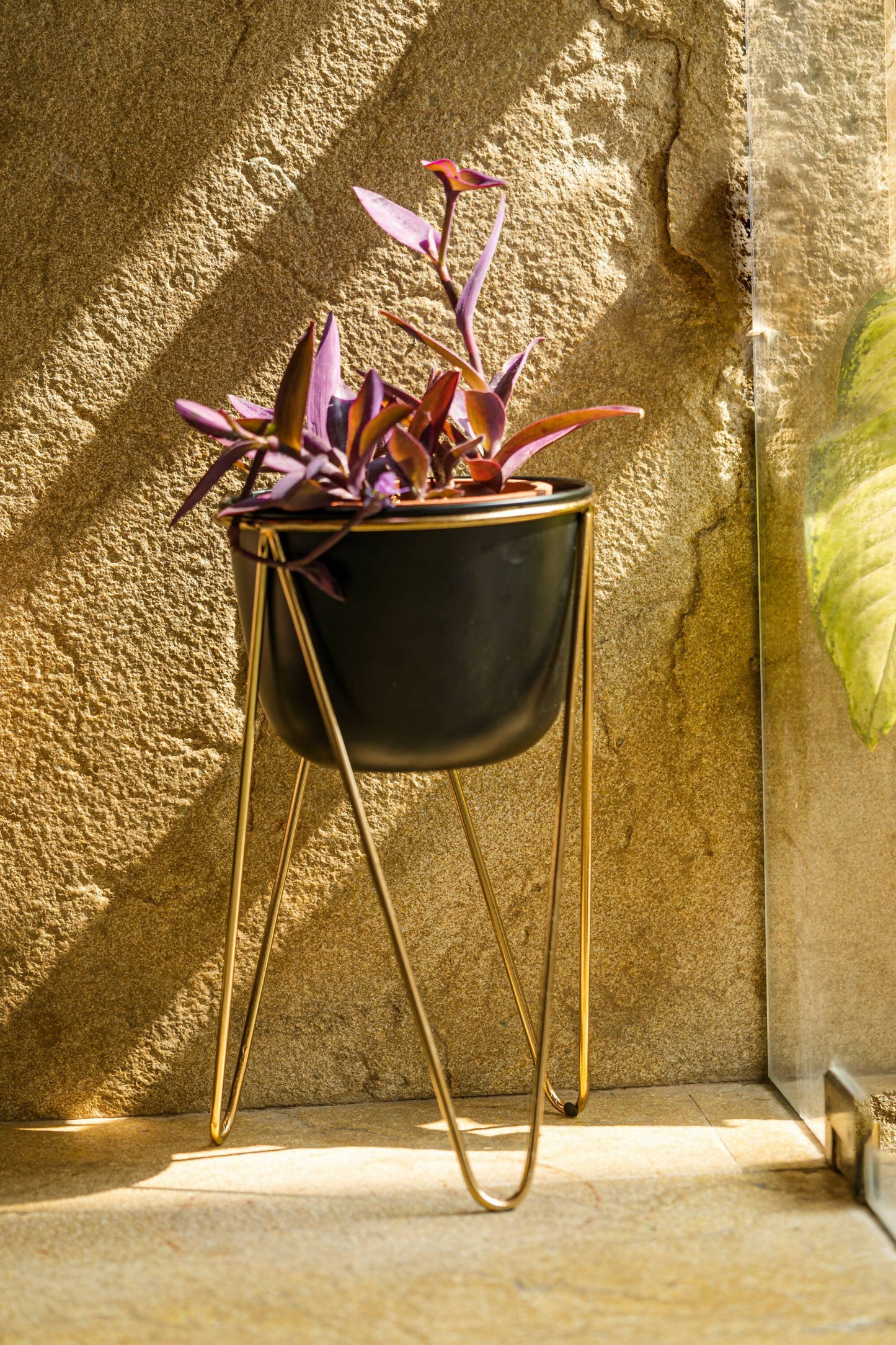 Planter Black Matte with Gold Tripod