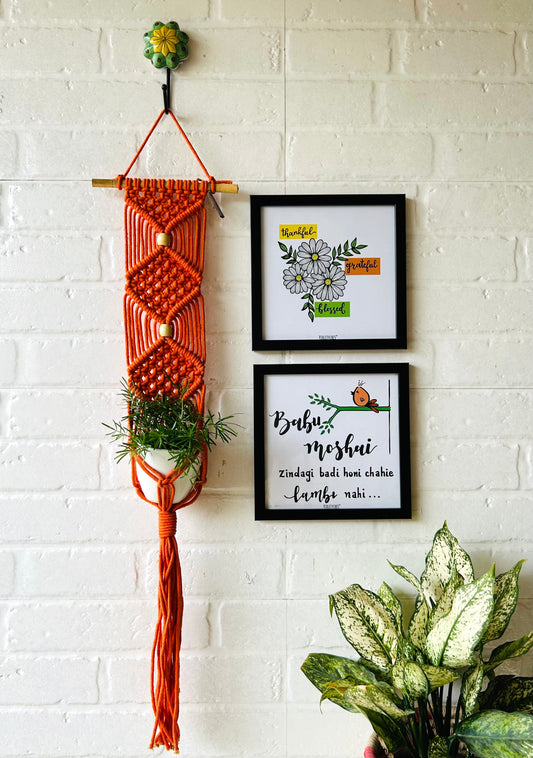 Babu Moshai Orange Hanger Combo | Wall Decor