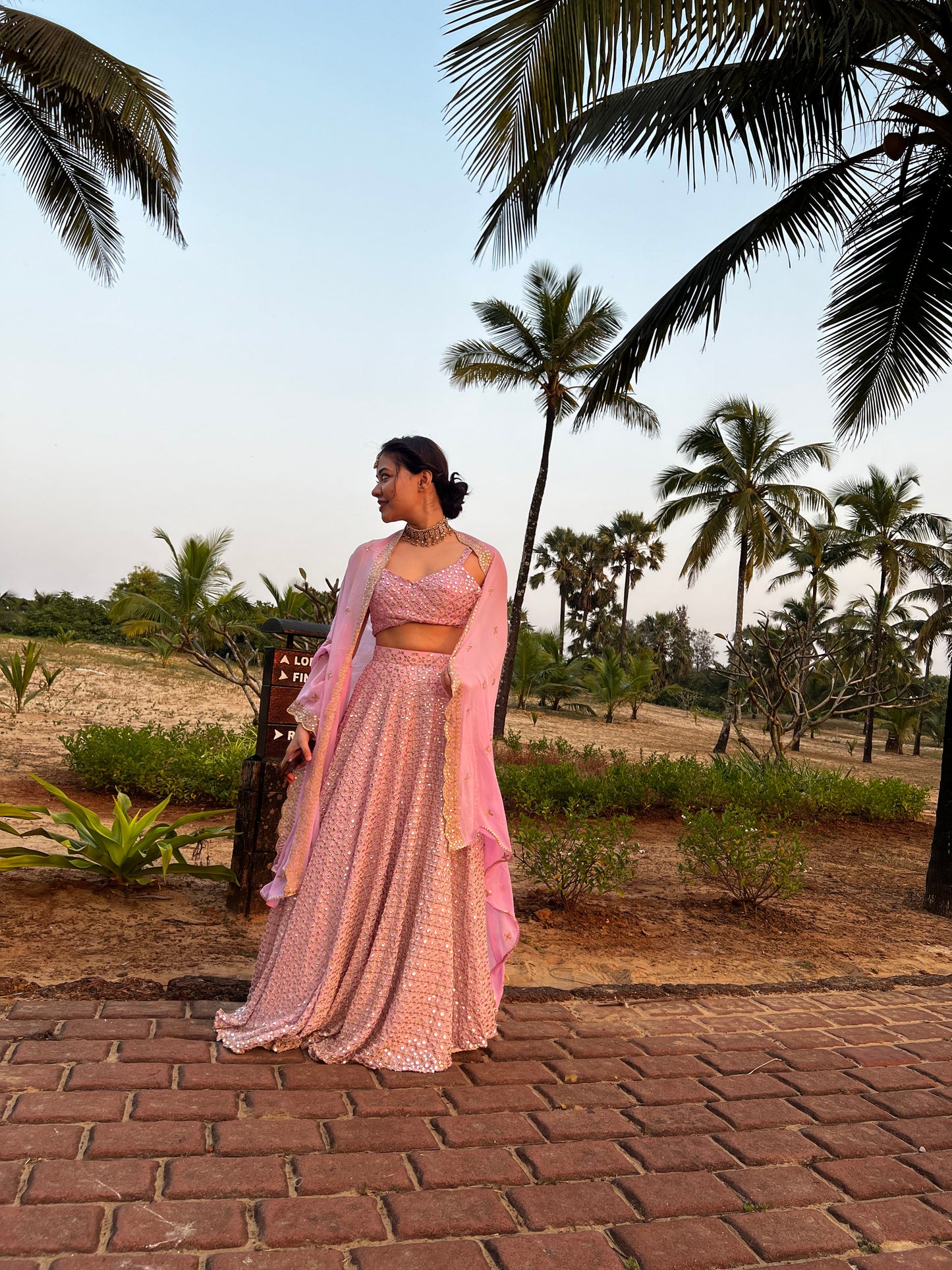 Pastel Pink Mirror Work Lehenga Set