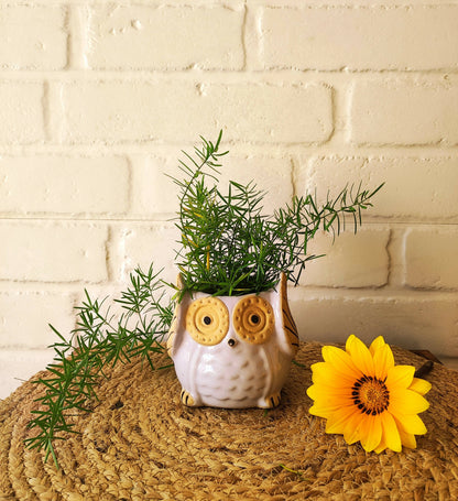 Ceramic Owl Planter