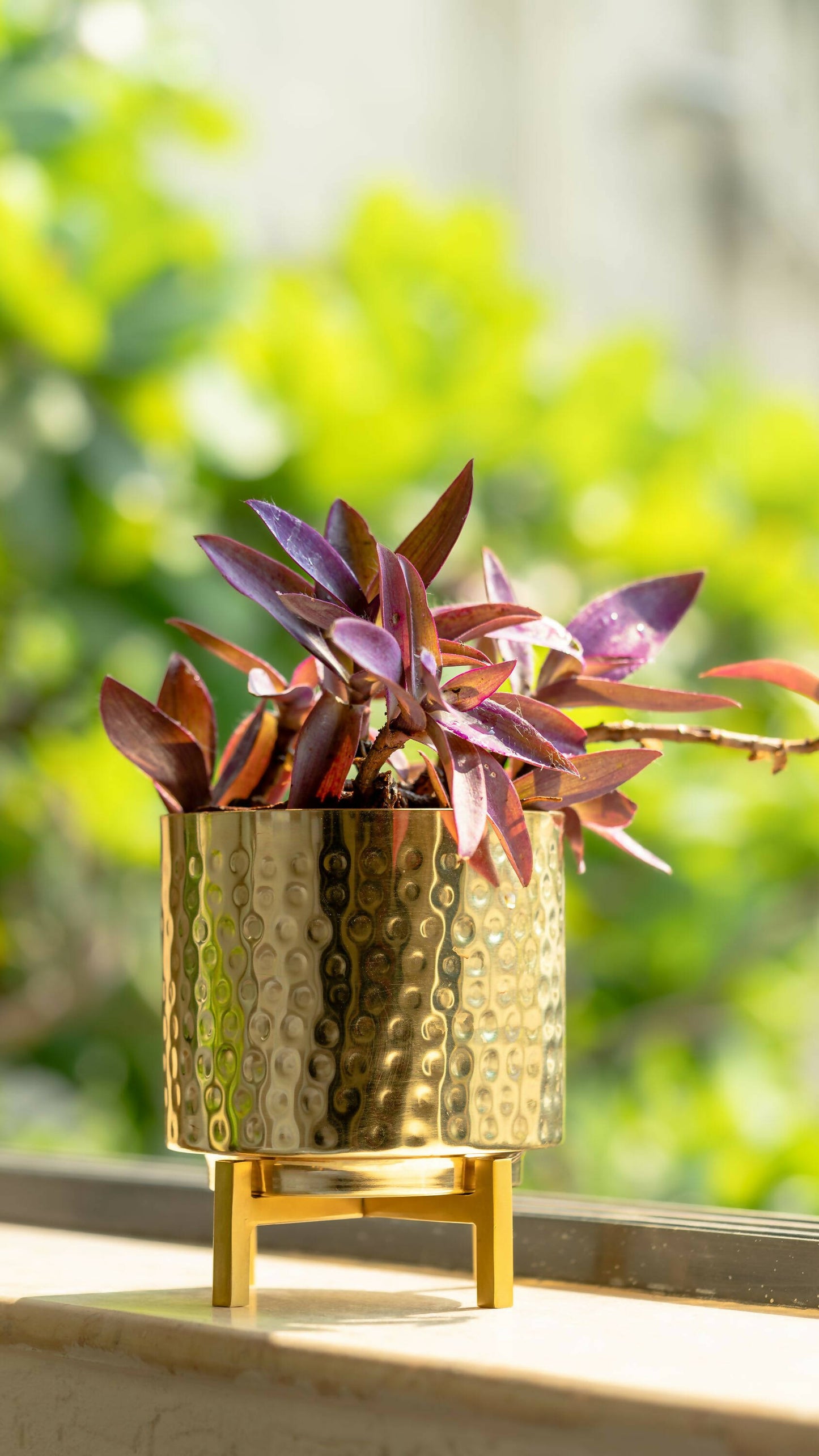 Planter Gold Hammer with Gold Stand