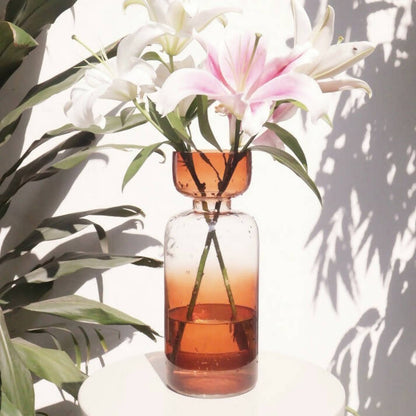 Tinted Glass Vase Grande