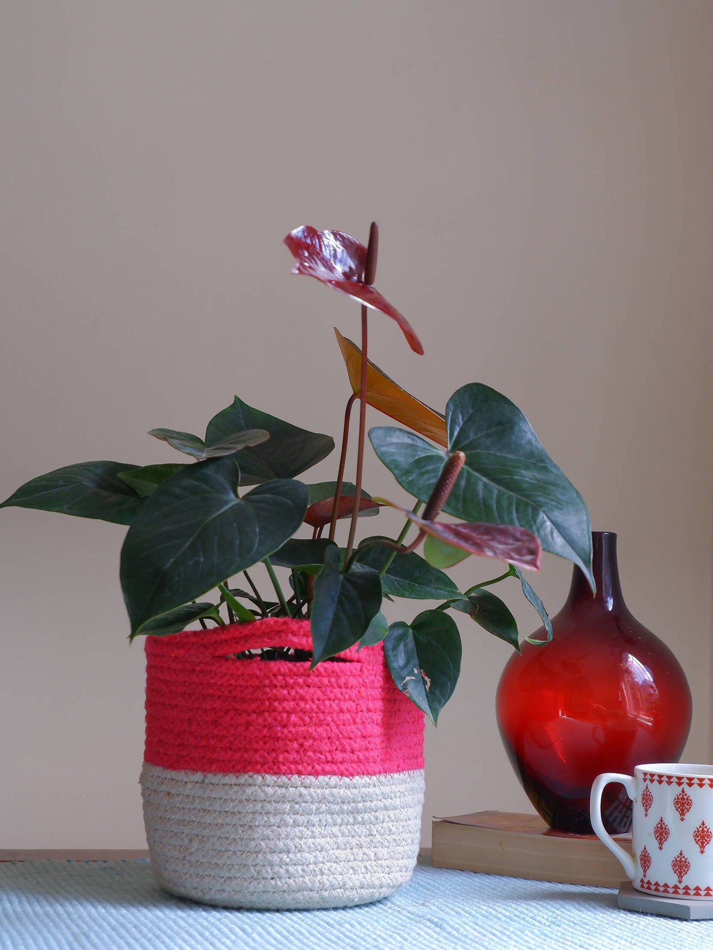 Fuchsia Basket