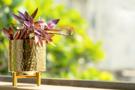 Planter Gold Hammer with Gold Stand