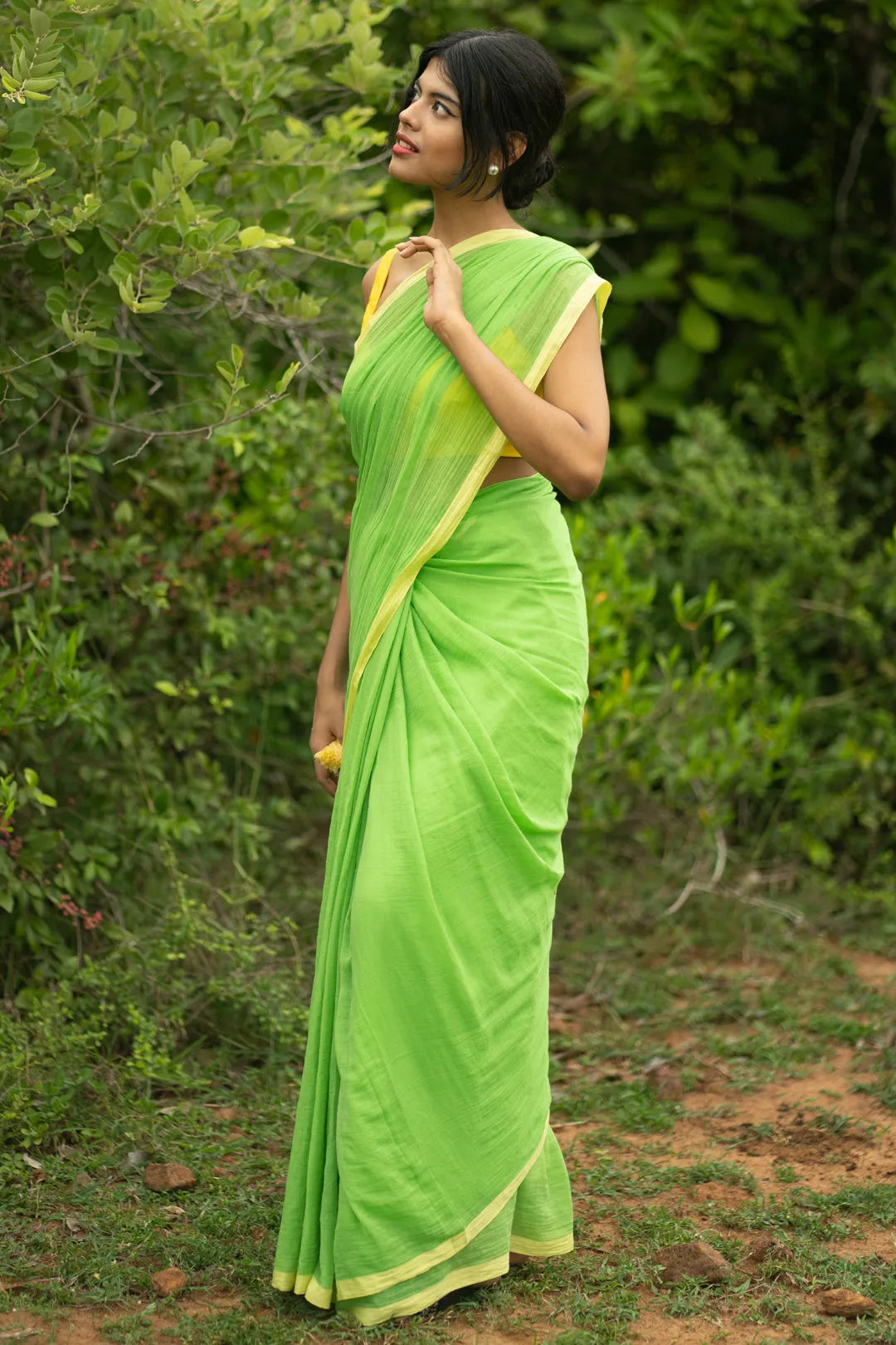 Secret Forest Border Saree