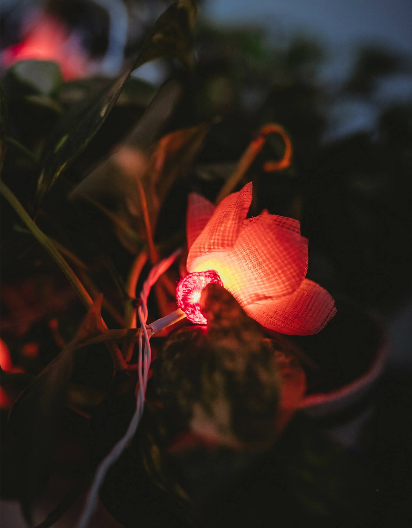 LED String Lights Orange Petals with Hearts