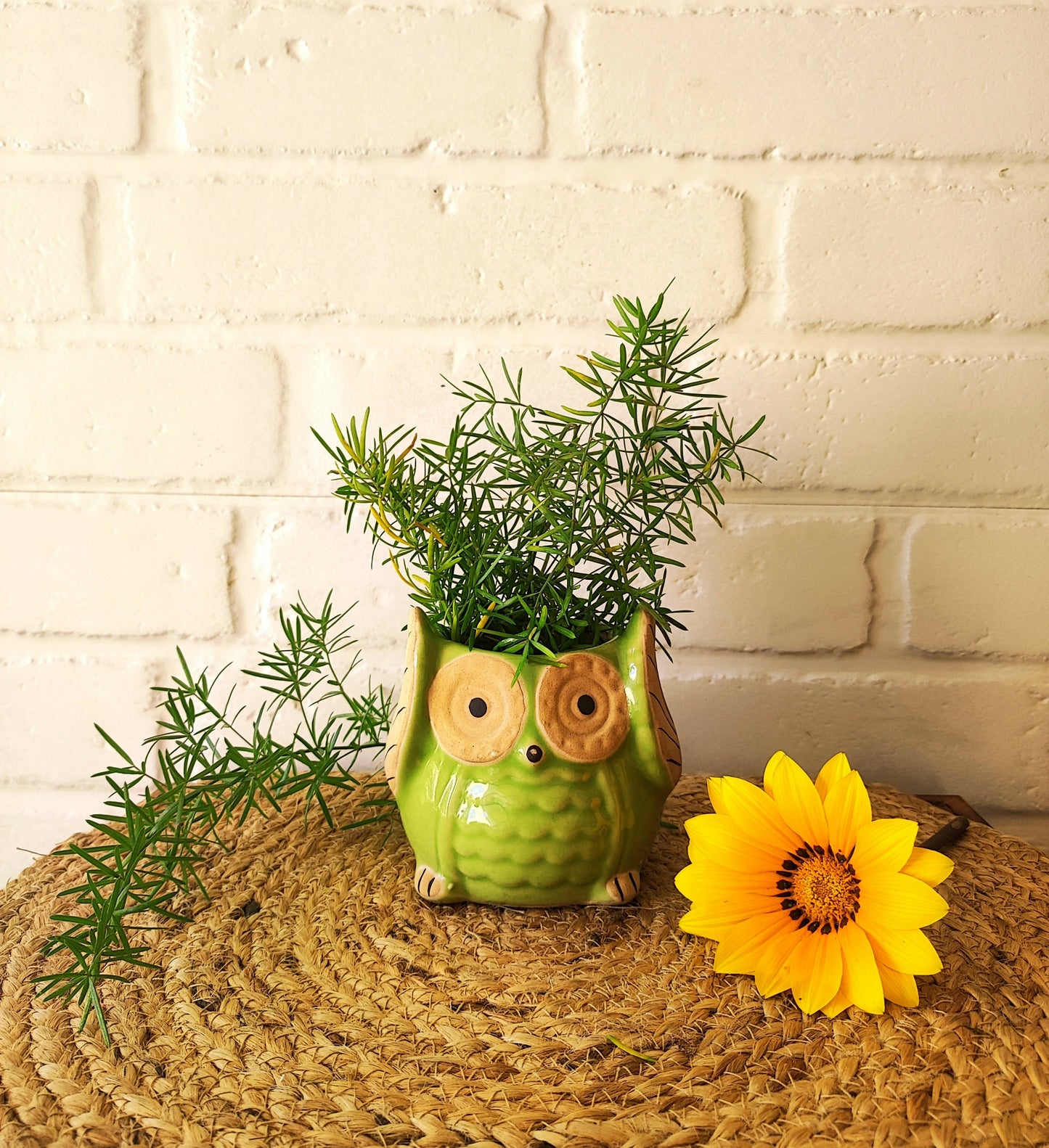 Ceramic Owl Planter