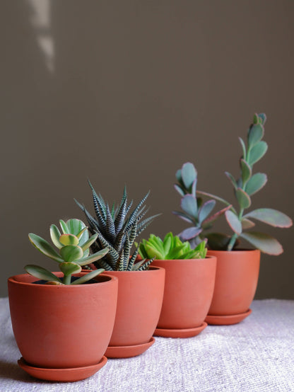 Dawn Planters-set of 4