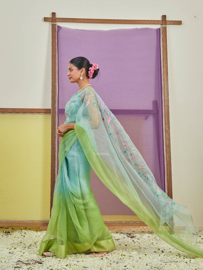 Pakhija Silk Organza Saree