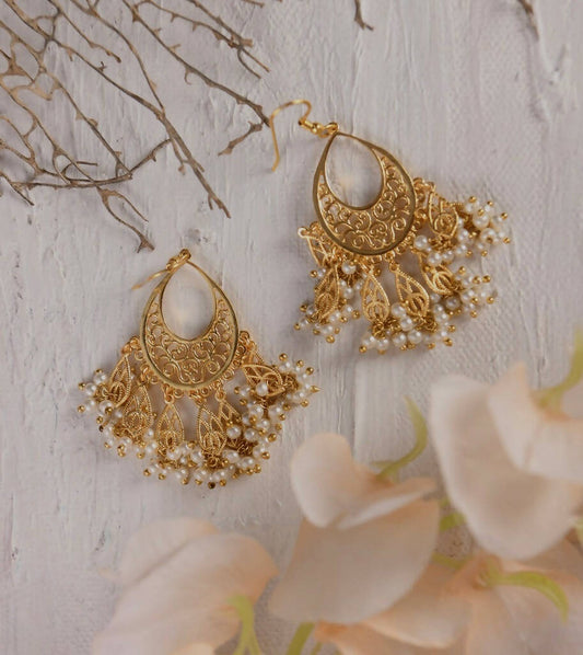 Nazaakat Earrings