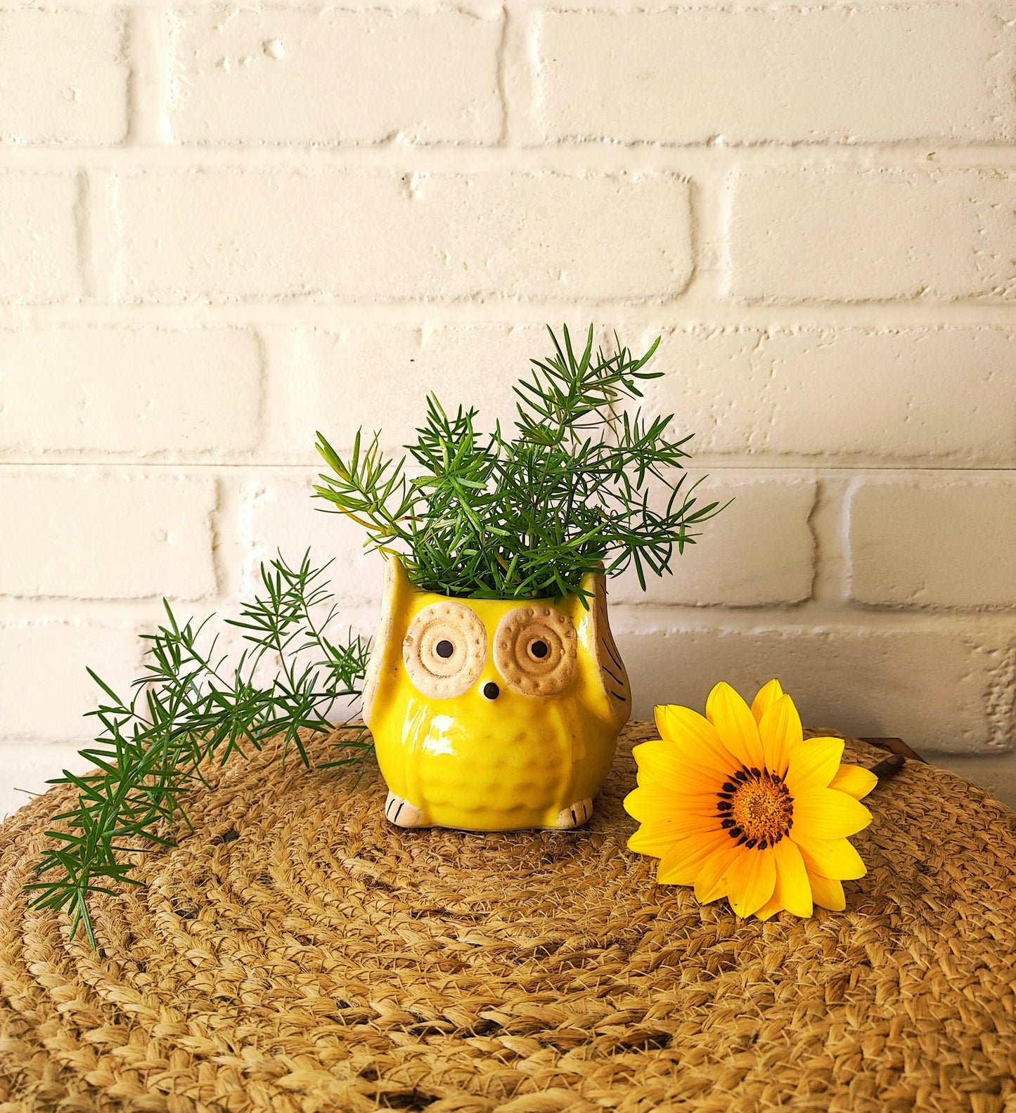 Ceramic Owl Planter