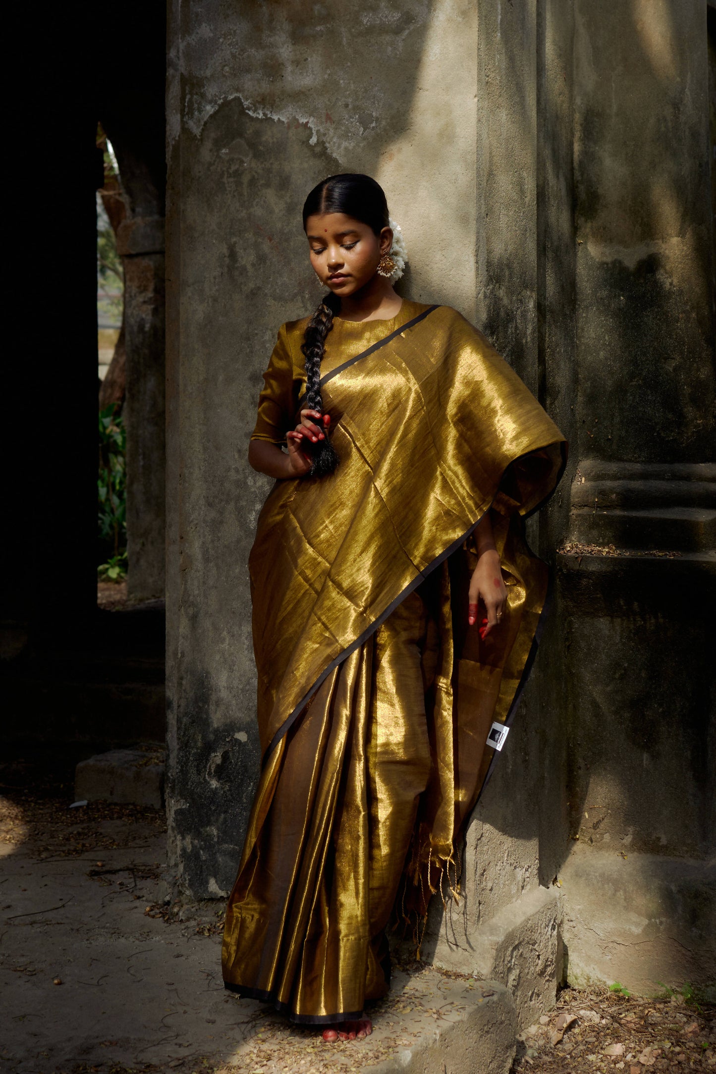 Shikara Gold Tissue Saree