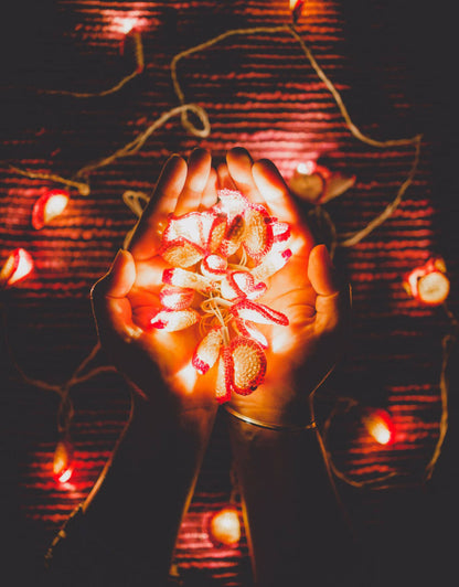 LED String Lights Pink Lily Bougainvillea