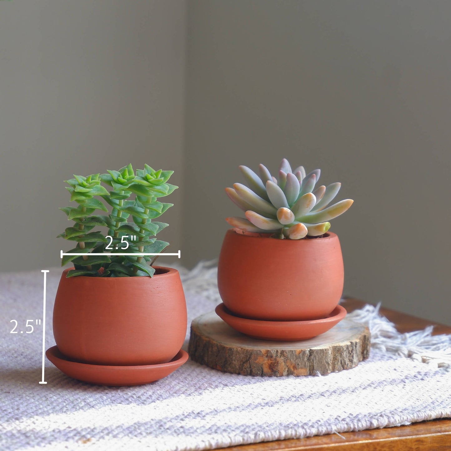 Succulent Pots- set of 6