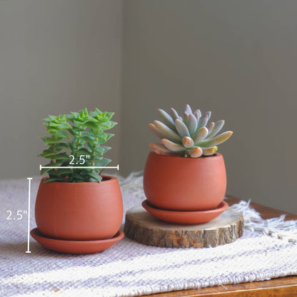 Succulent Pots- set of 6