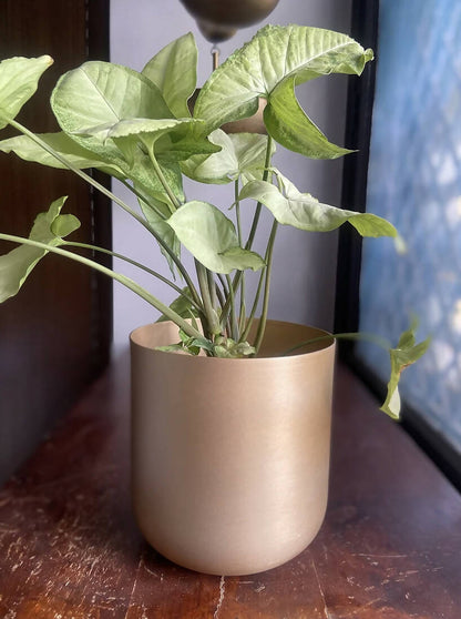 Gold Matte Planter