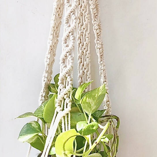 Pearl Plant Hanger