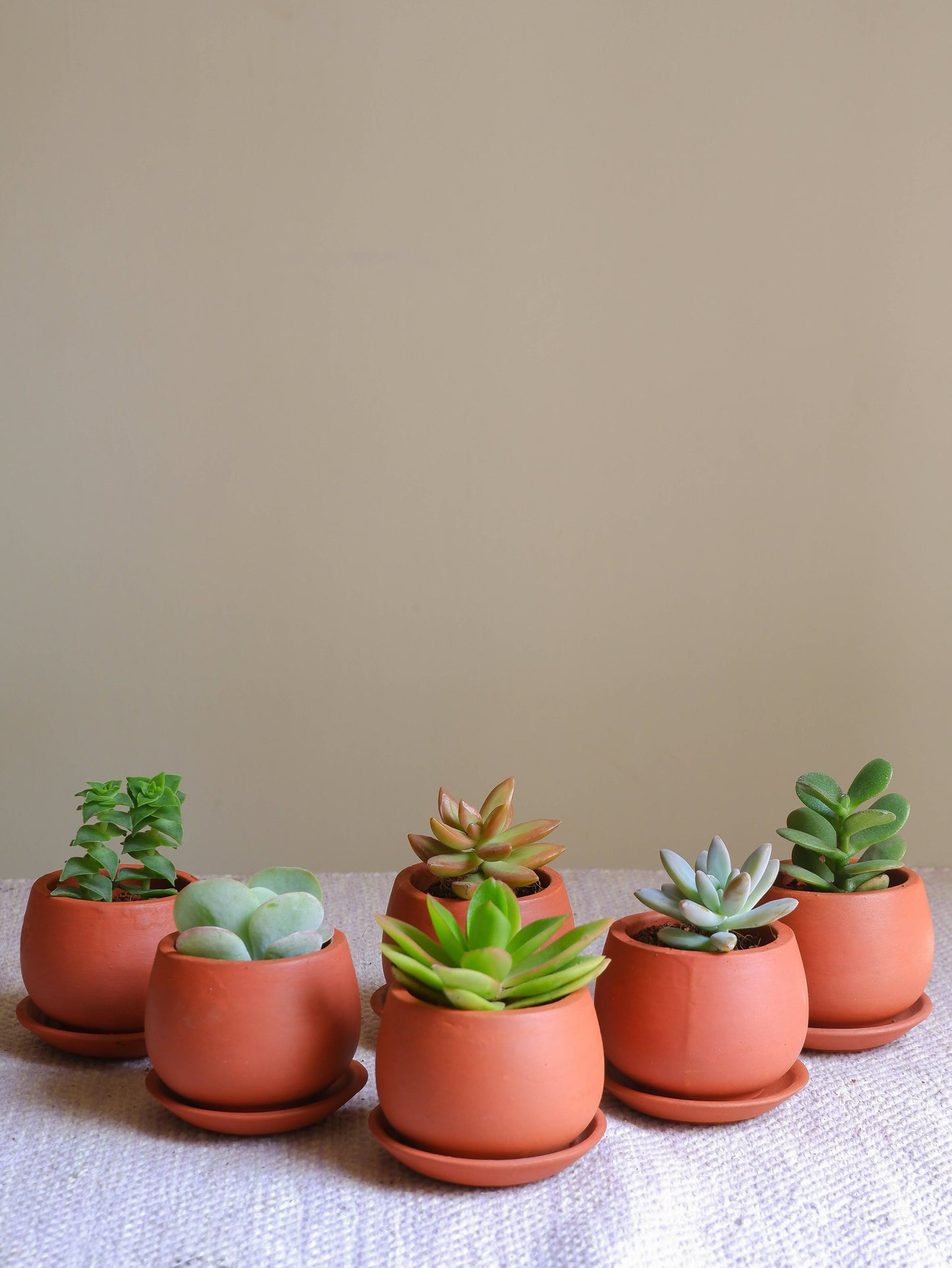 Succulent Pots- set of 6