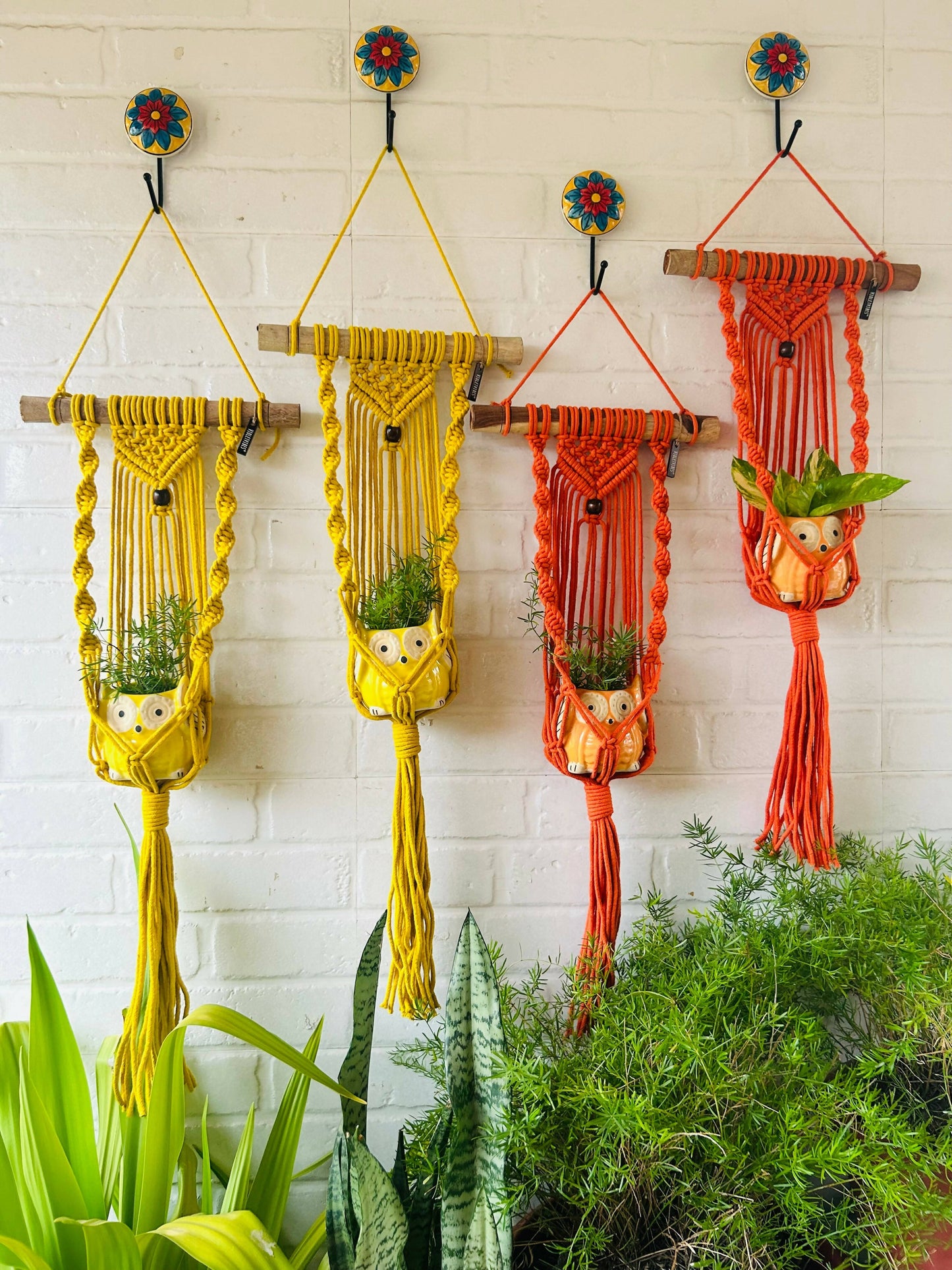 Macrame Plant Hangers | Yellow And Orange | Set Of 4