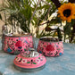 Pink hand painted 2 Tier Stainless Steel Tiffin