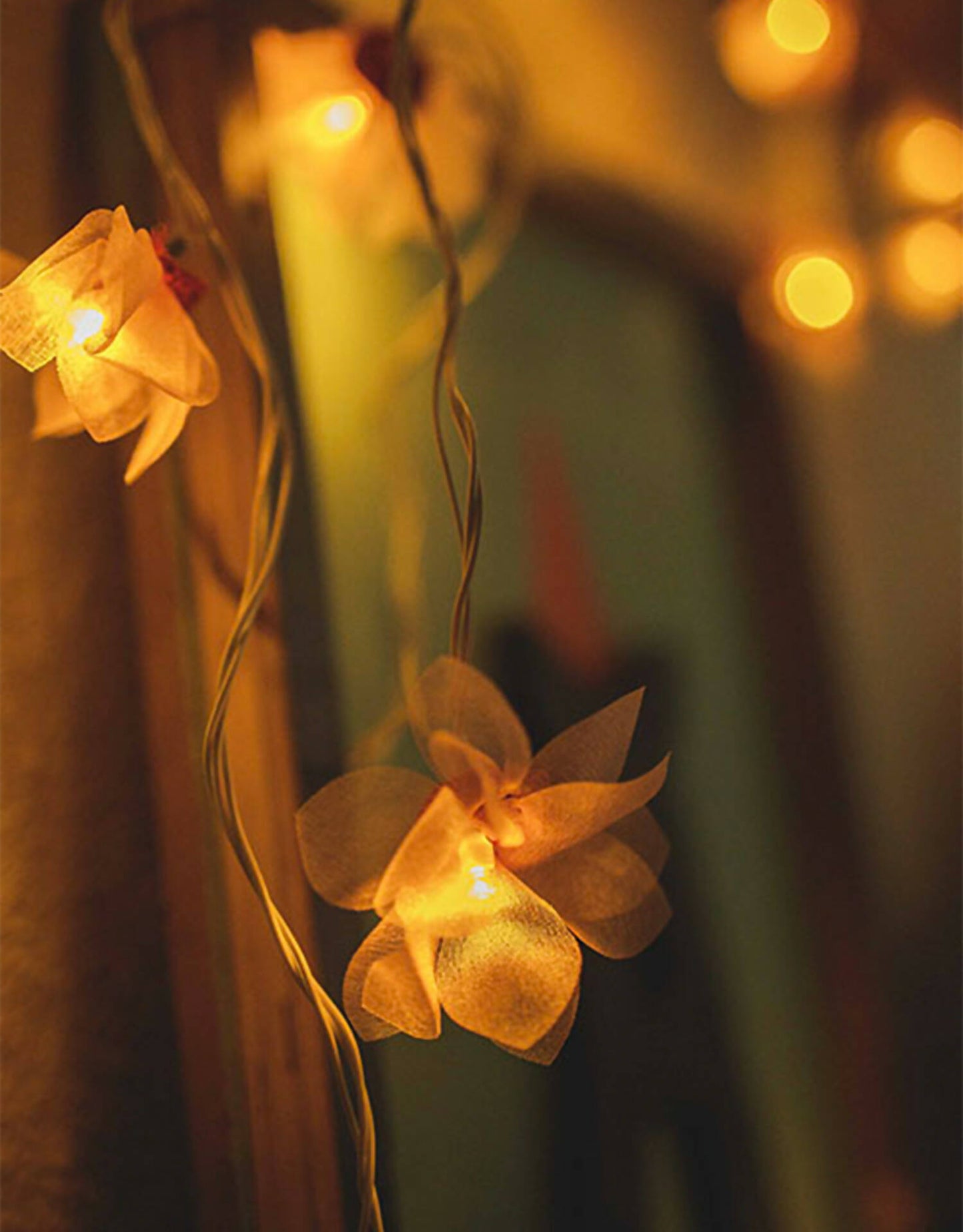 LED String Lights Pink Rose with Hearts