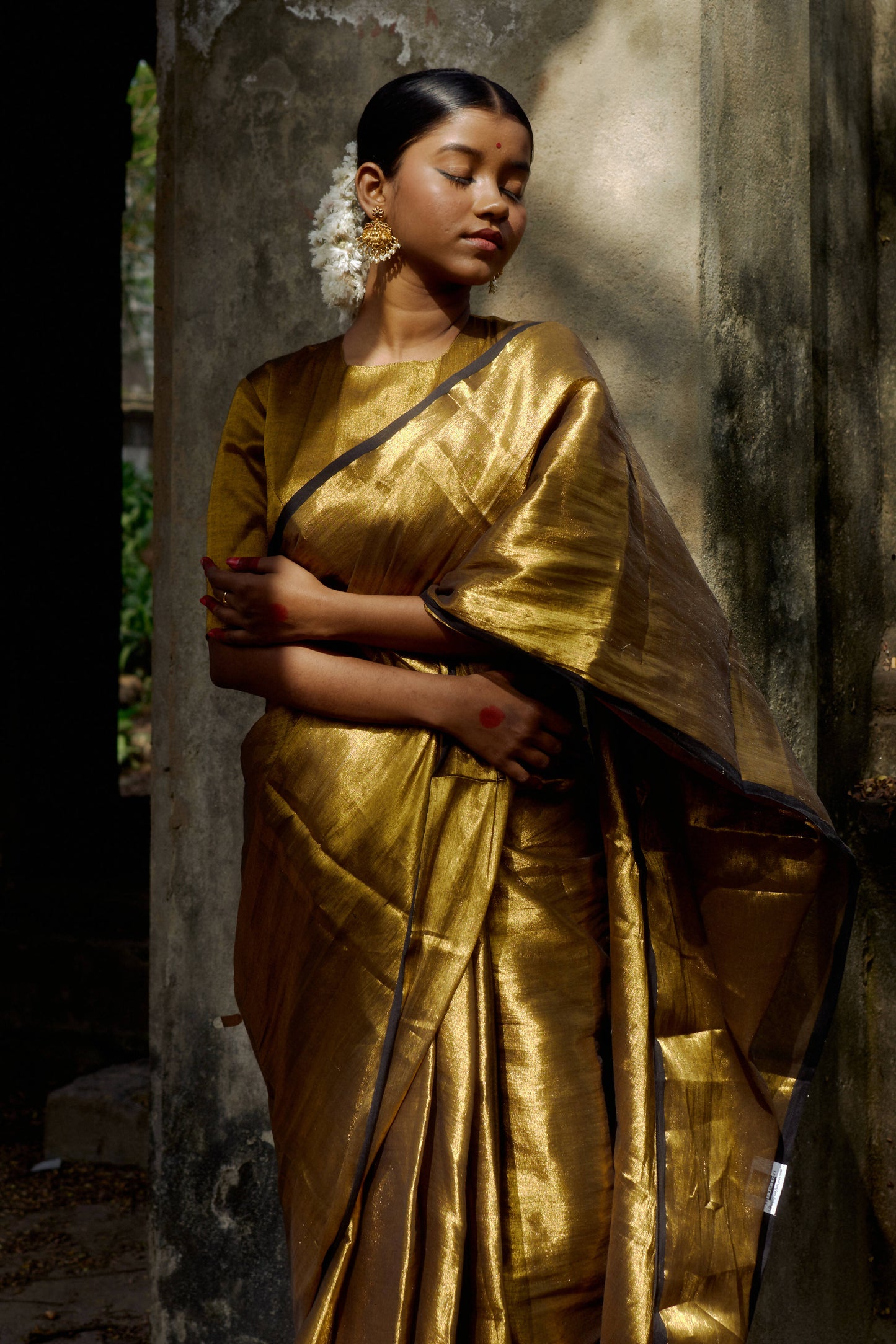 Shikara Gold Tissue Saree